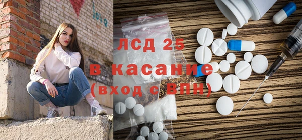 ПСИЛОЦИБИНОВЫЕ ГРИБЫ Арсеньев