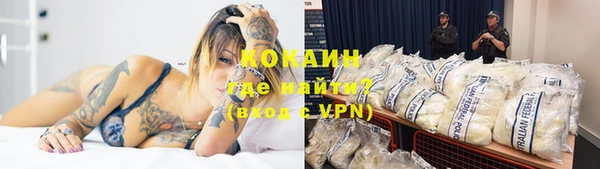 ПСИЛОЦИБИНОВЫЕ ГРИБЫ Арсеньев