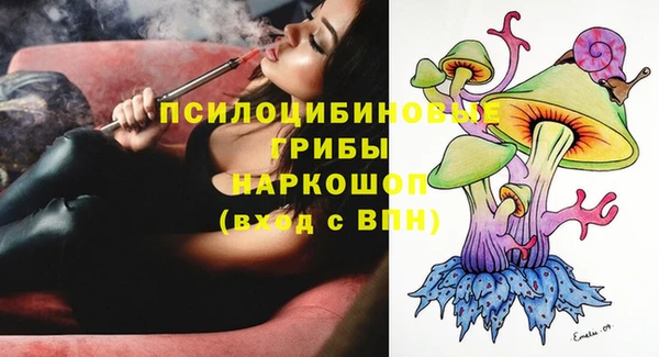 ПСИЛОЦИБИНОВЫЕ ГРИБЫ Арсеньев