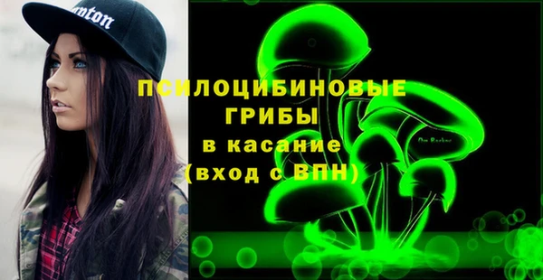 эйфоретик Пересвет