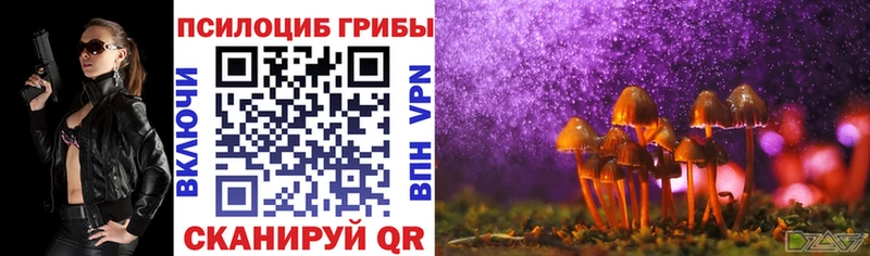 kraken зеркало  Карачаевск  Галлюциногенные грибы Psilocybine cubensis 